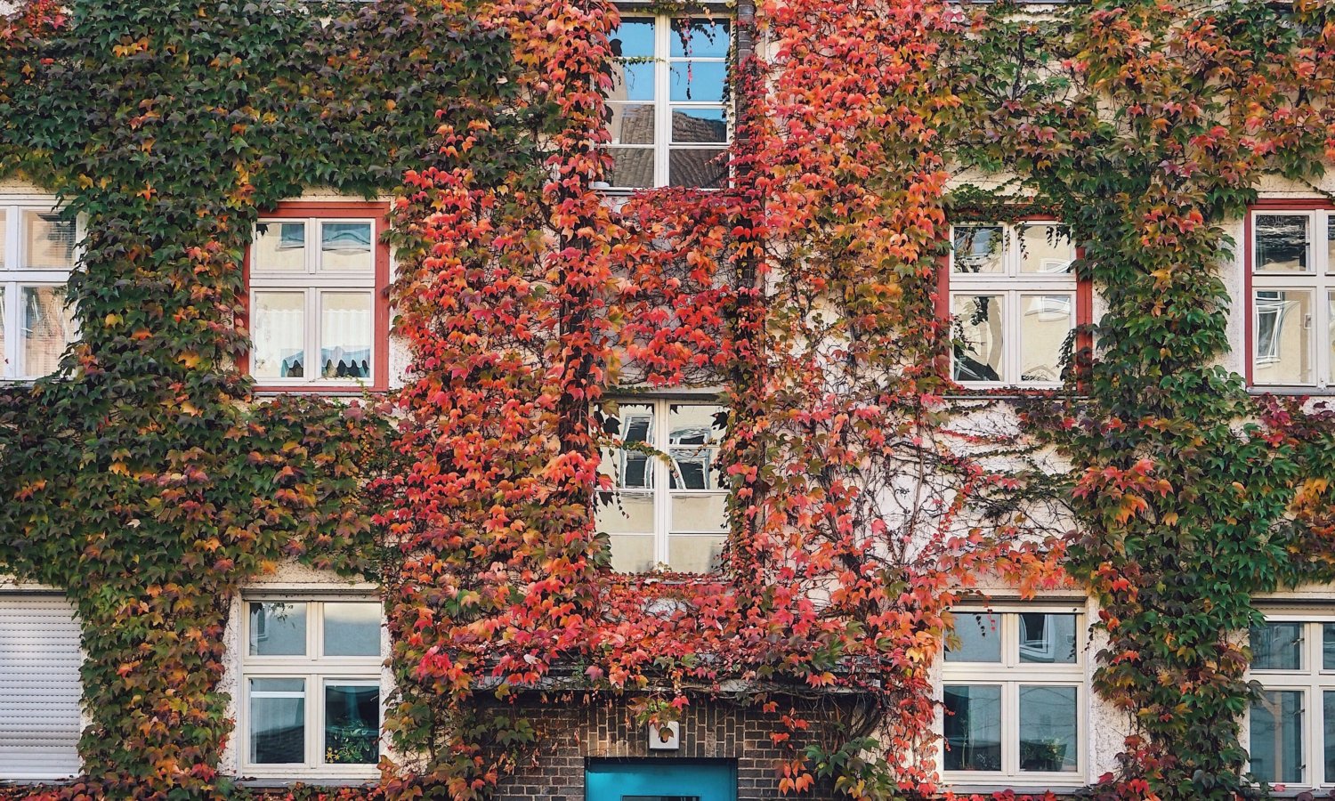 Berlin Prenzlauerberg