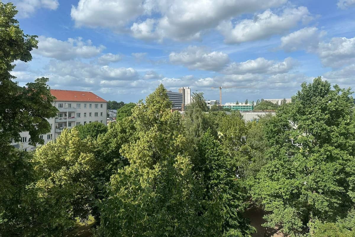 Ausblick