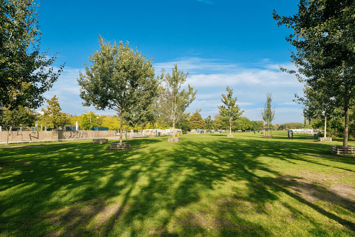 Umgebung - Mauerpark