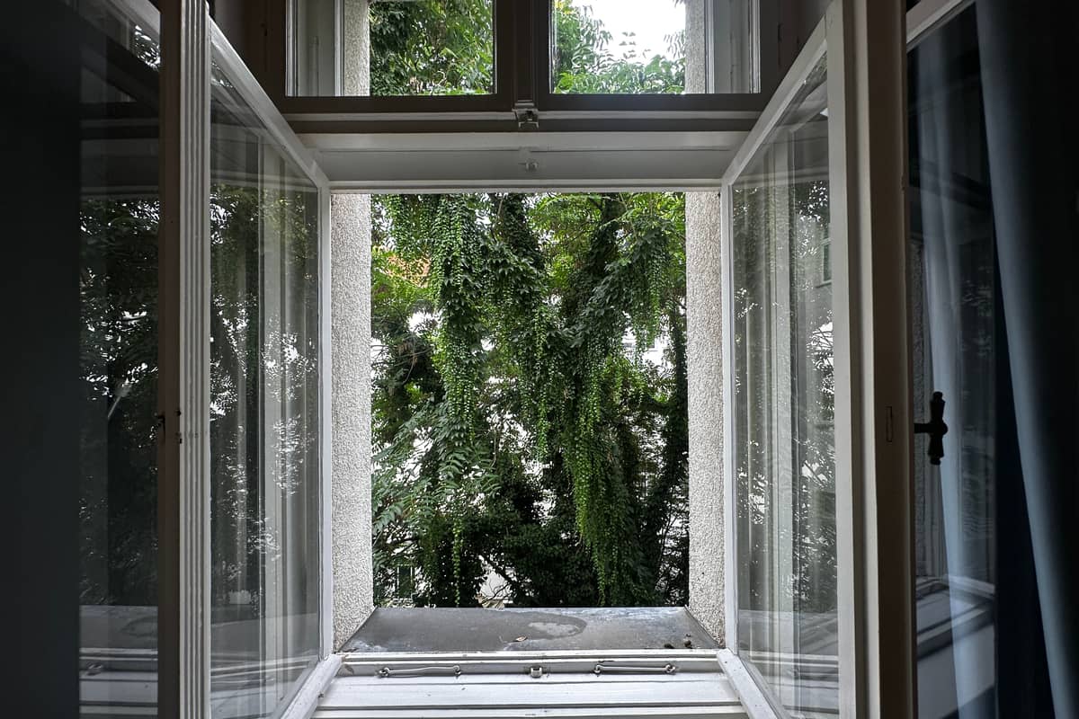 Blick in den Karl-Kunger Jungle