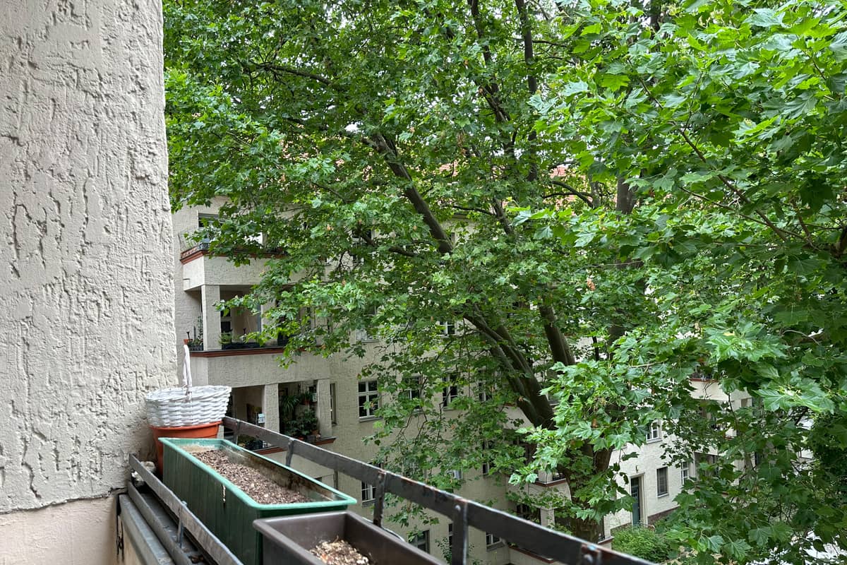 Blick vom Balkon