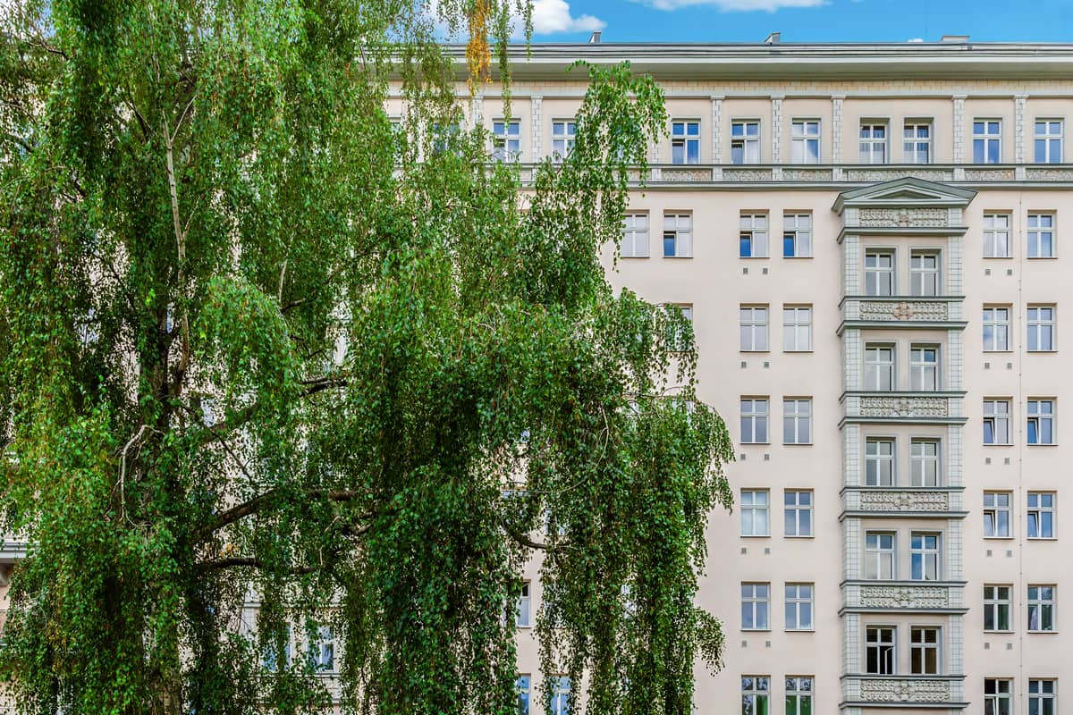 Rückseitige Fassade