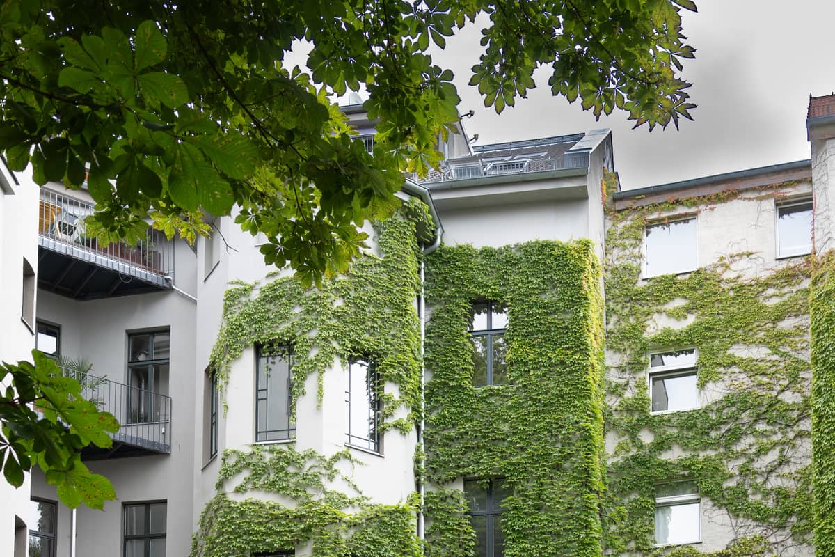 Begrünte Fassade und Innenhof