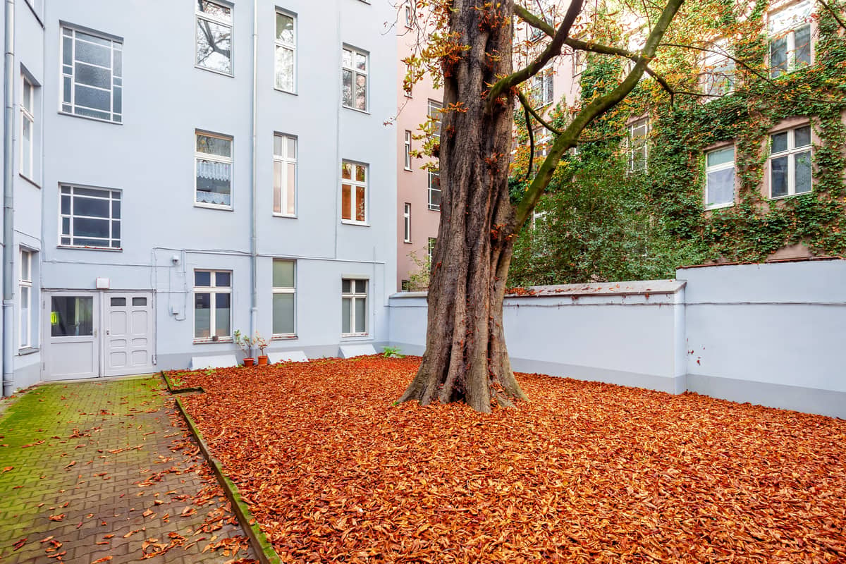 Hinterhof