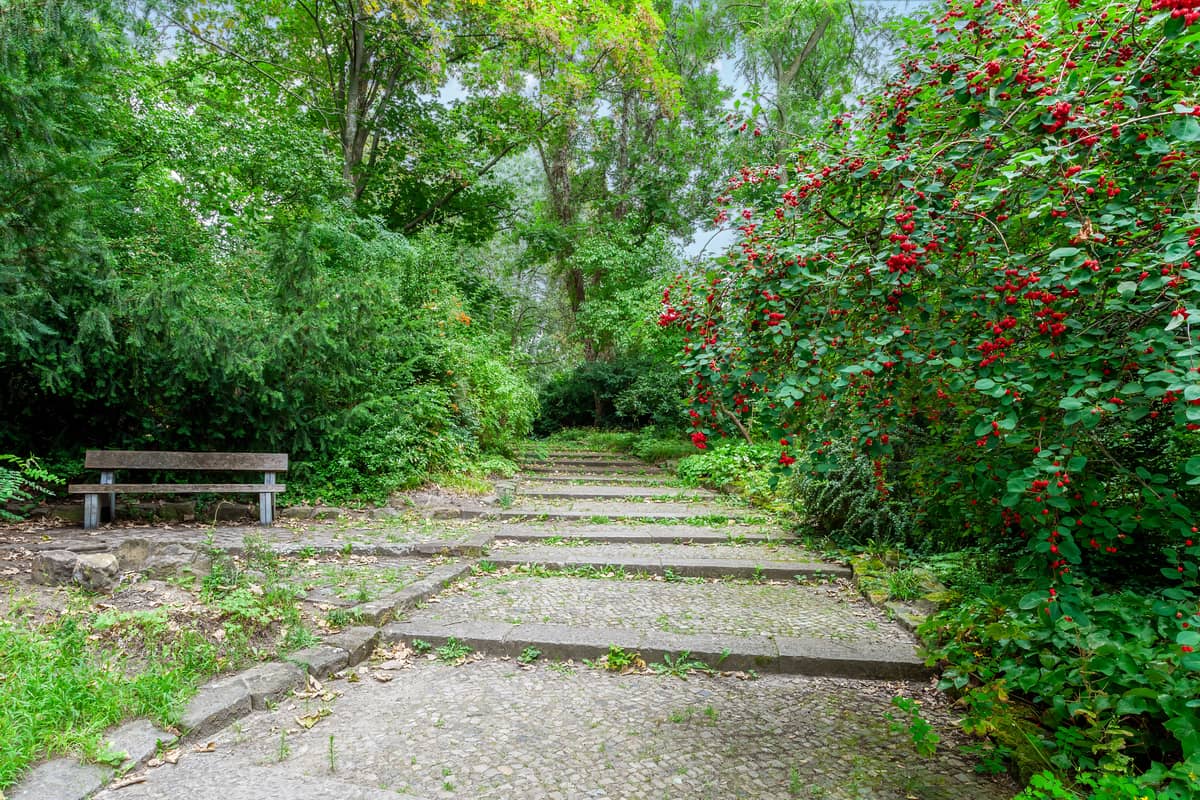 Fritz-Schloß-Park