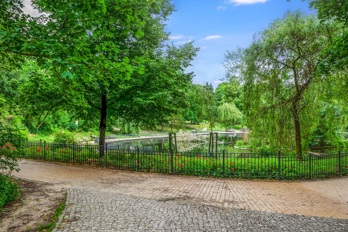 Großer Teich im Volkspark
