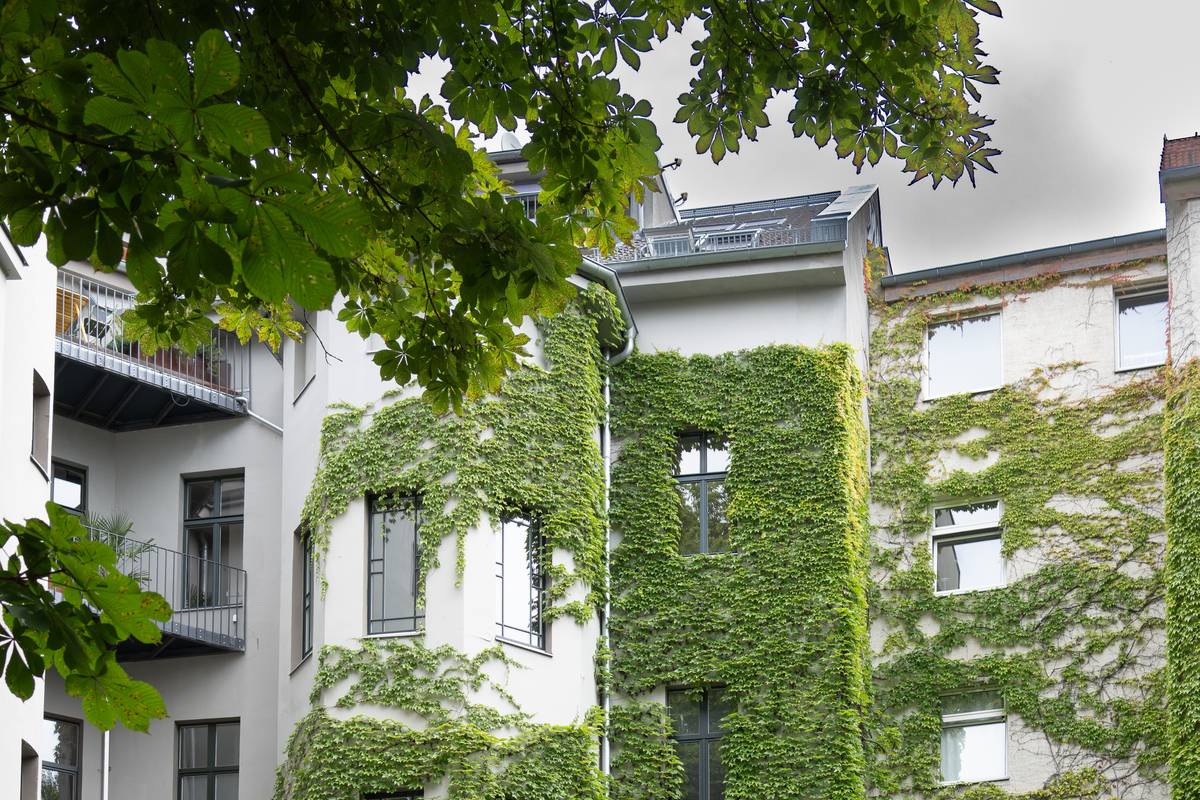 Begrünte Fassade und Innenhof