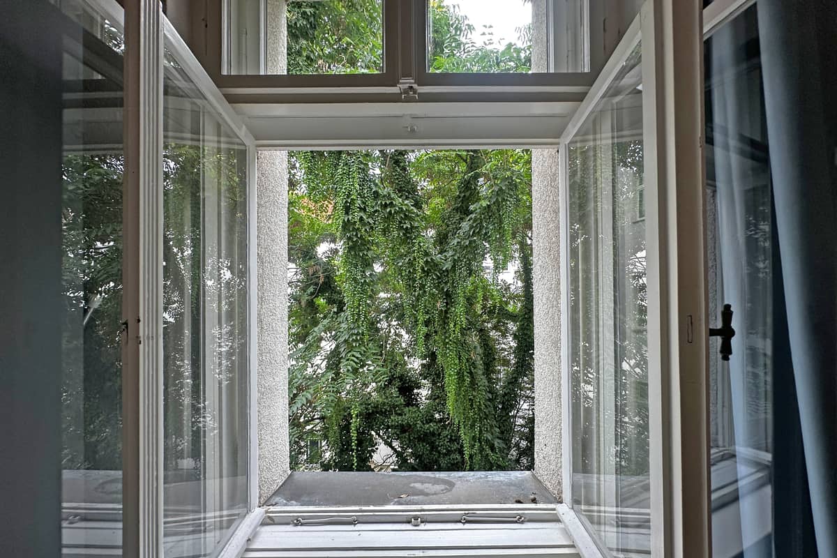 Blick in den Karl-Kunger Jungle