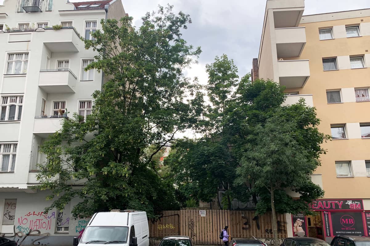 Ansicht und Nachbarbebauung