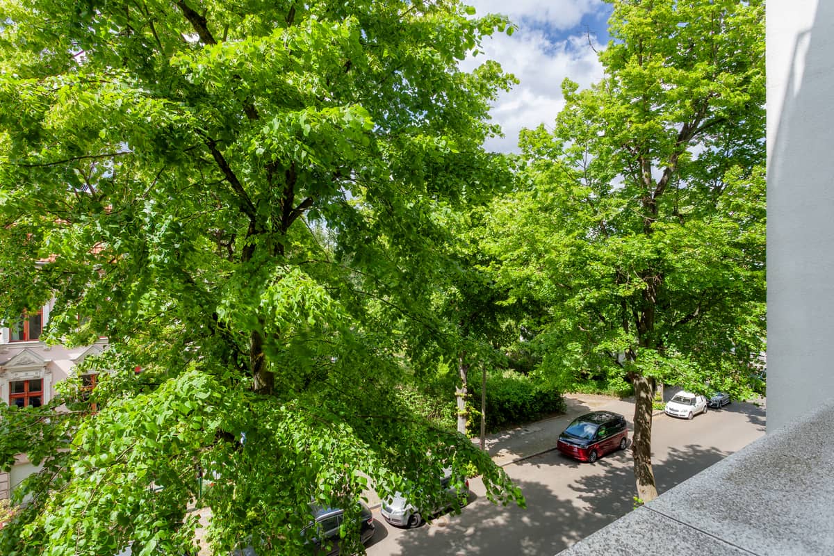 Aussicht vom Balkon