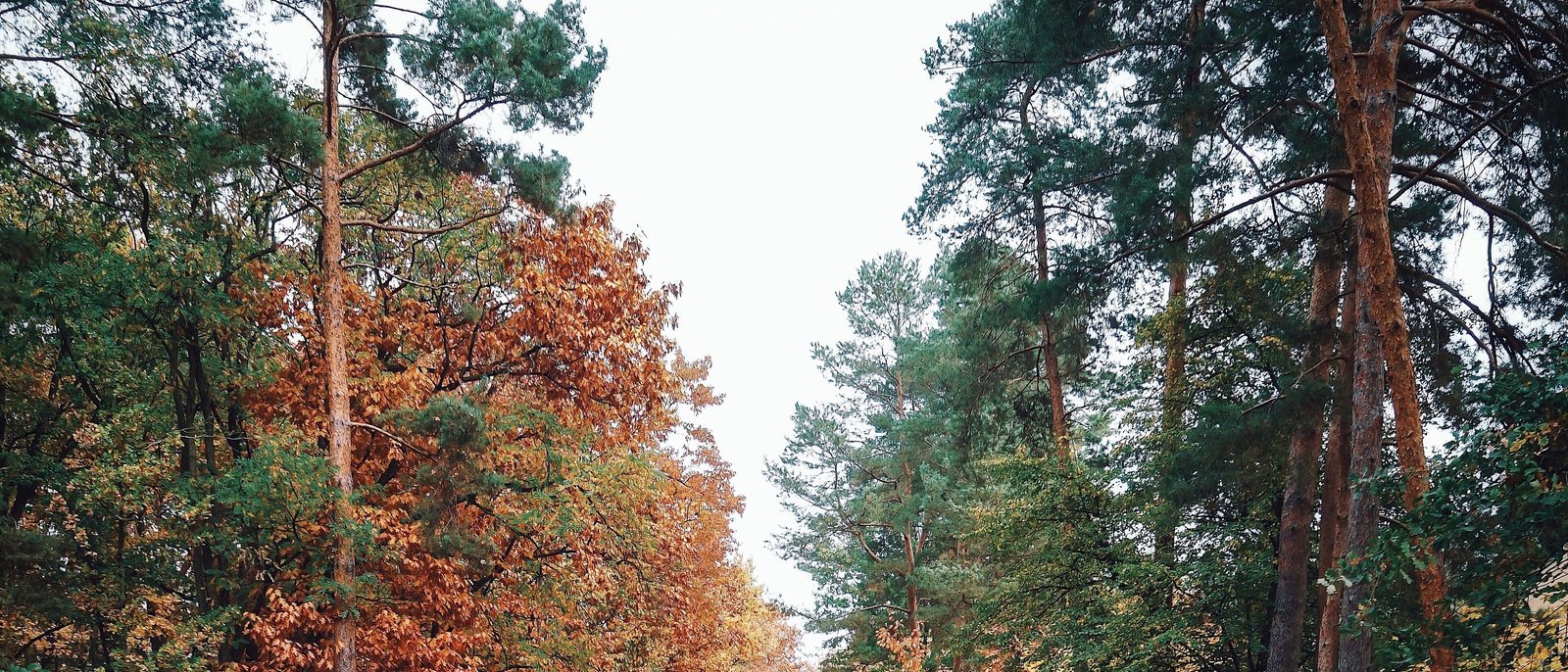 Living in Zehlendorf