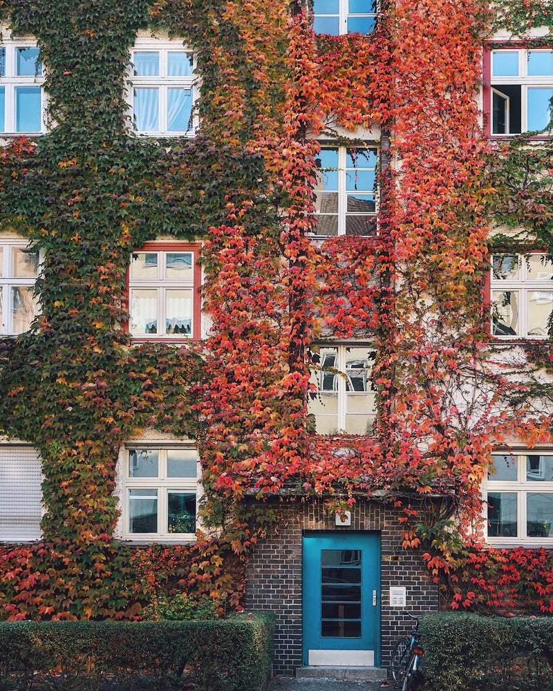 Weißensee: Green Living by the Lake in Berlin's Northeast